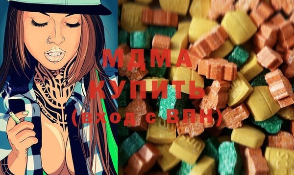 индика Сосновоборск