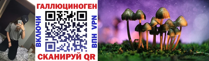 Галлюциногенные грибы ЛСД  Камышлов 